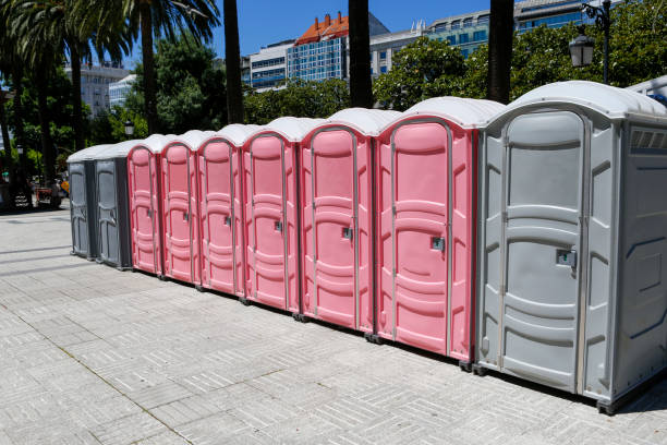 Types of Portable Toilets We Offer in Lake Darby, OH